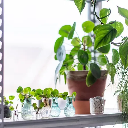 Super Bright With Balcony *